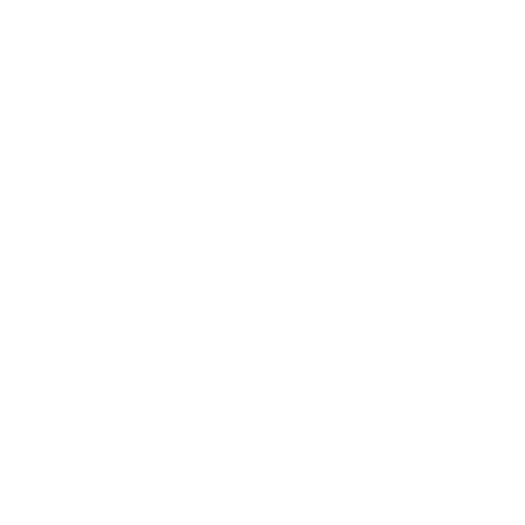 logo caoa chery